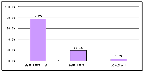 中国互联网络发展状况分析报告(4)